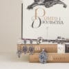 kolektsiia «sonet shekspira» — orinho Прикраси з колекції «Сонет Шекспіра» від Орінго на фоні книг